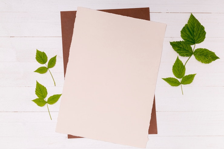 تصویر 4 از قیمت خرید کاغذ A4 بازیافتی بافروش عمده